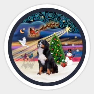 "Christmas Magic" with a Bernese Mountain Dog Sticker